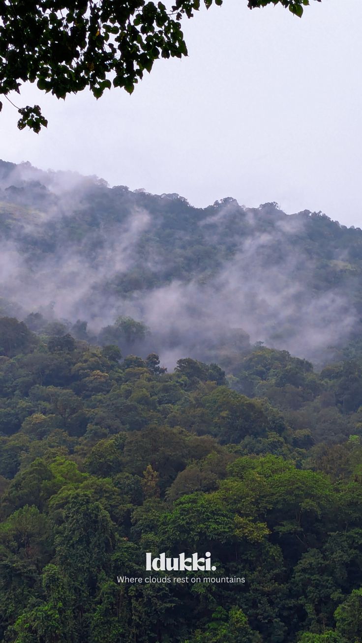 Idukki_